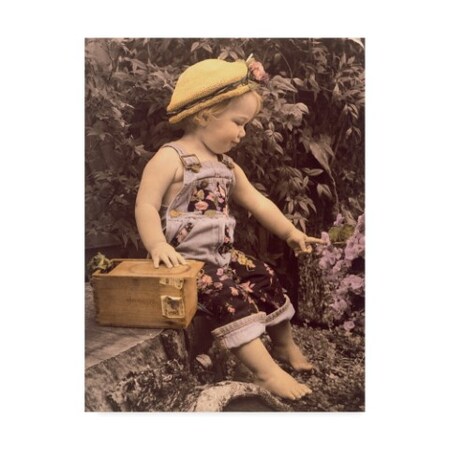 Trademark Fine Art Sharon Forbes 'Pick A Posey' Canvas Art, 35x47 ALI33443-C3547GG